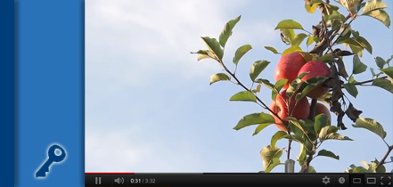 Cheshire Town Video Tour